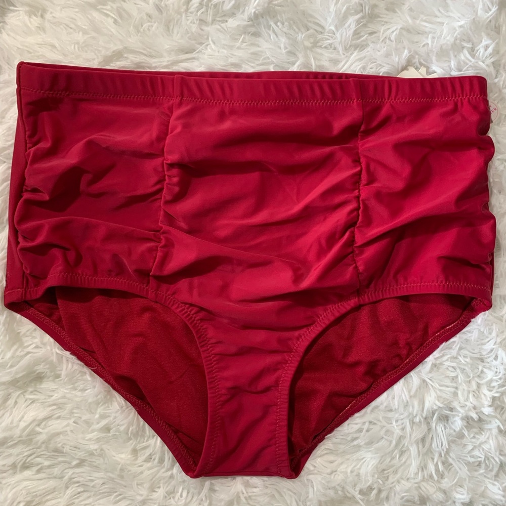 Raisins Curve Burgundy bikini bottom 14w